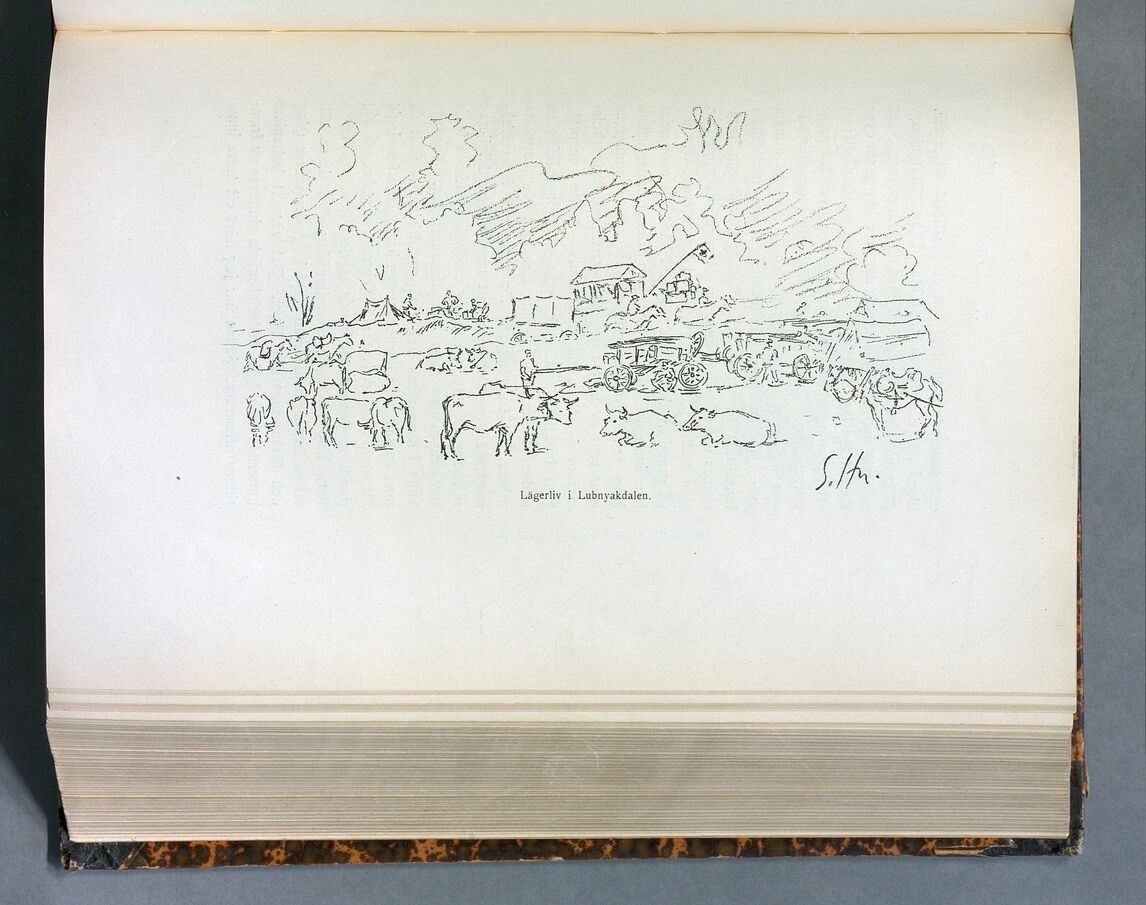 scanned image