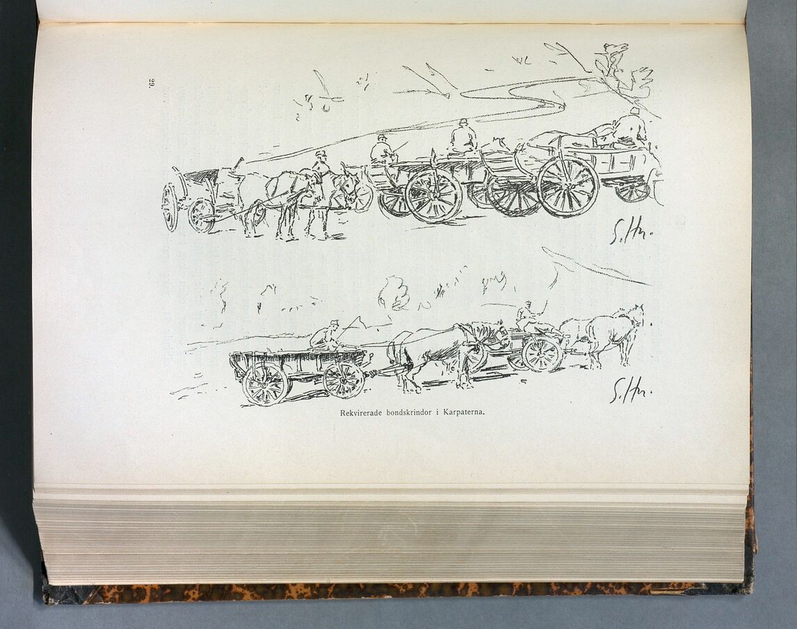 scanned image