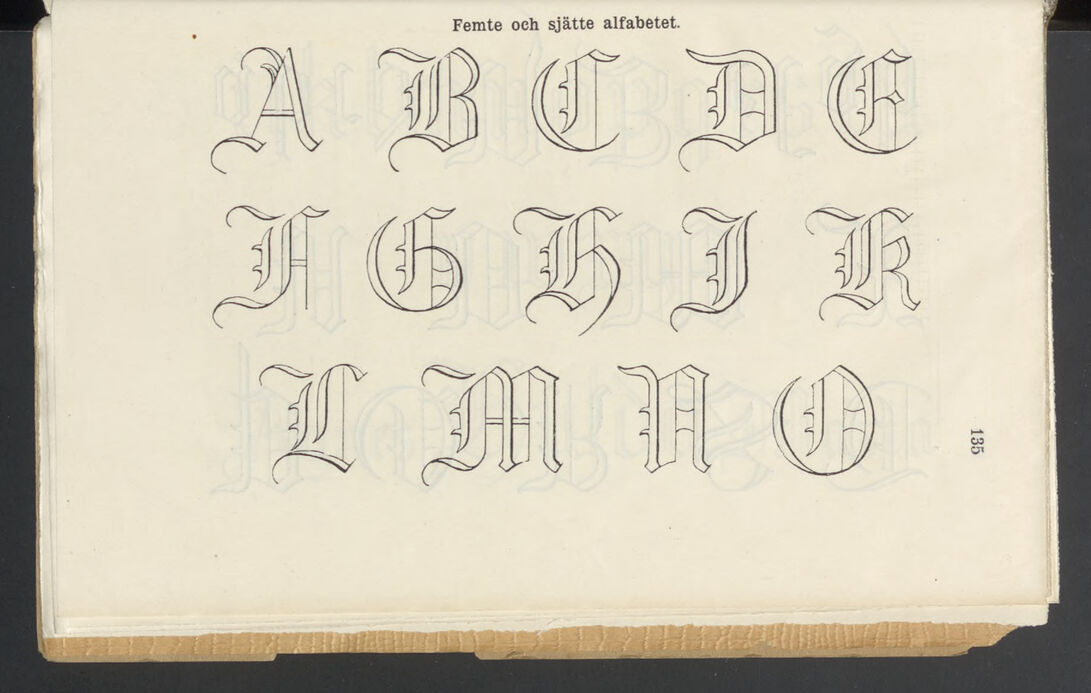 scanned image