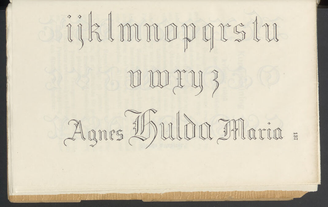 scanned image