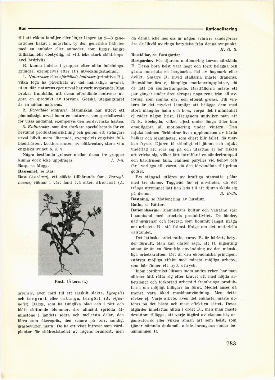 scanned image