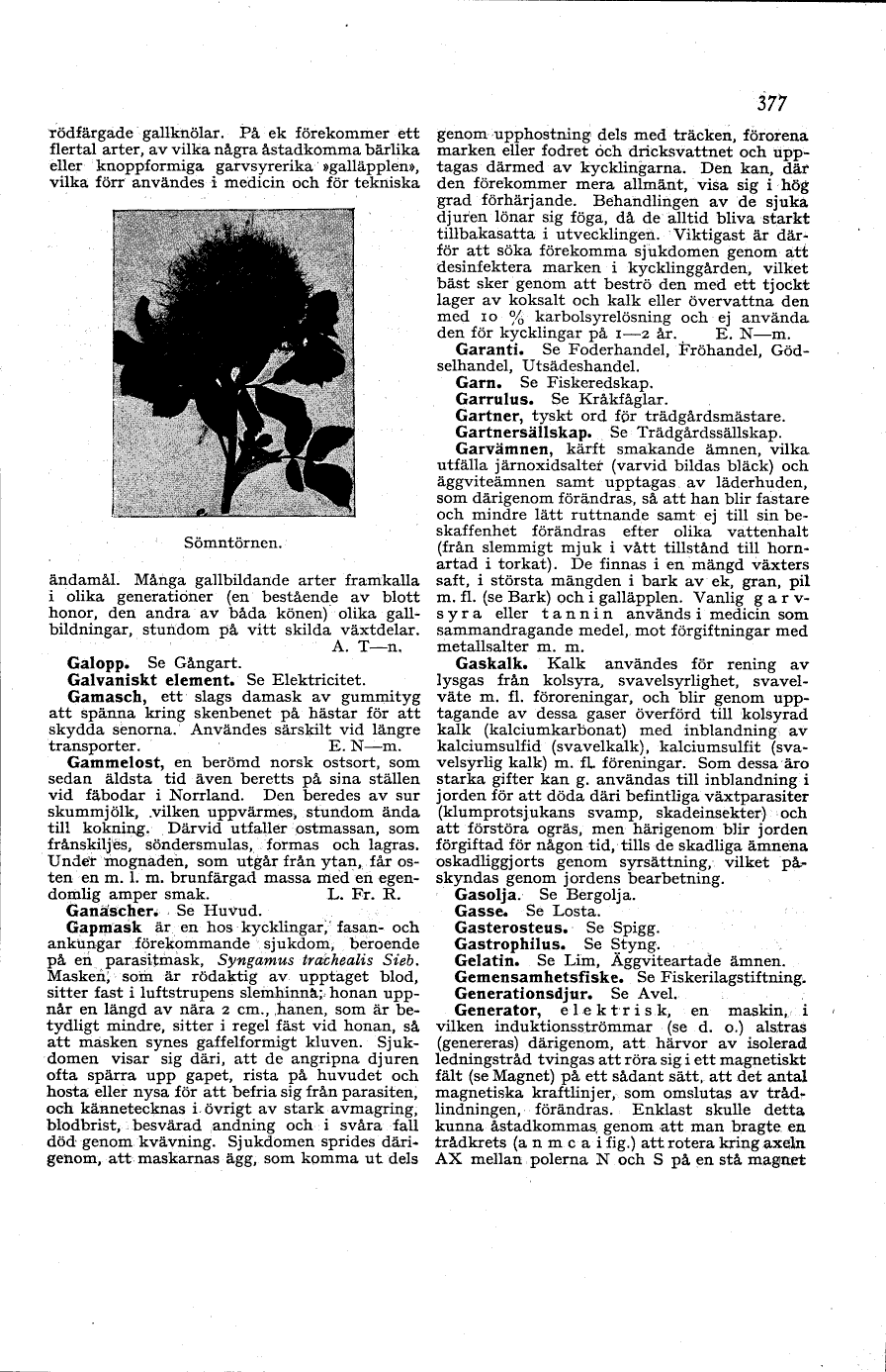scanned image
