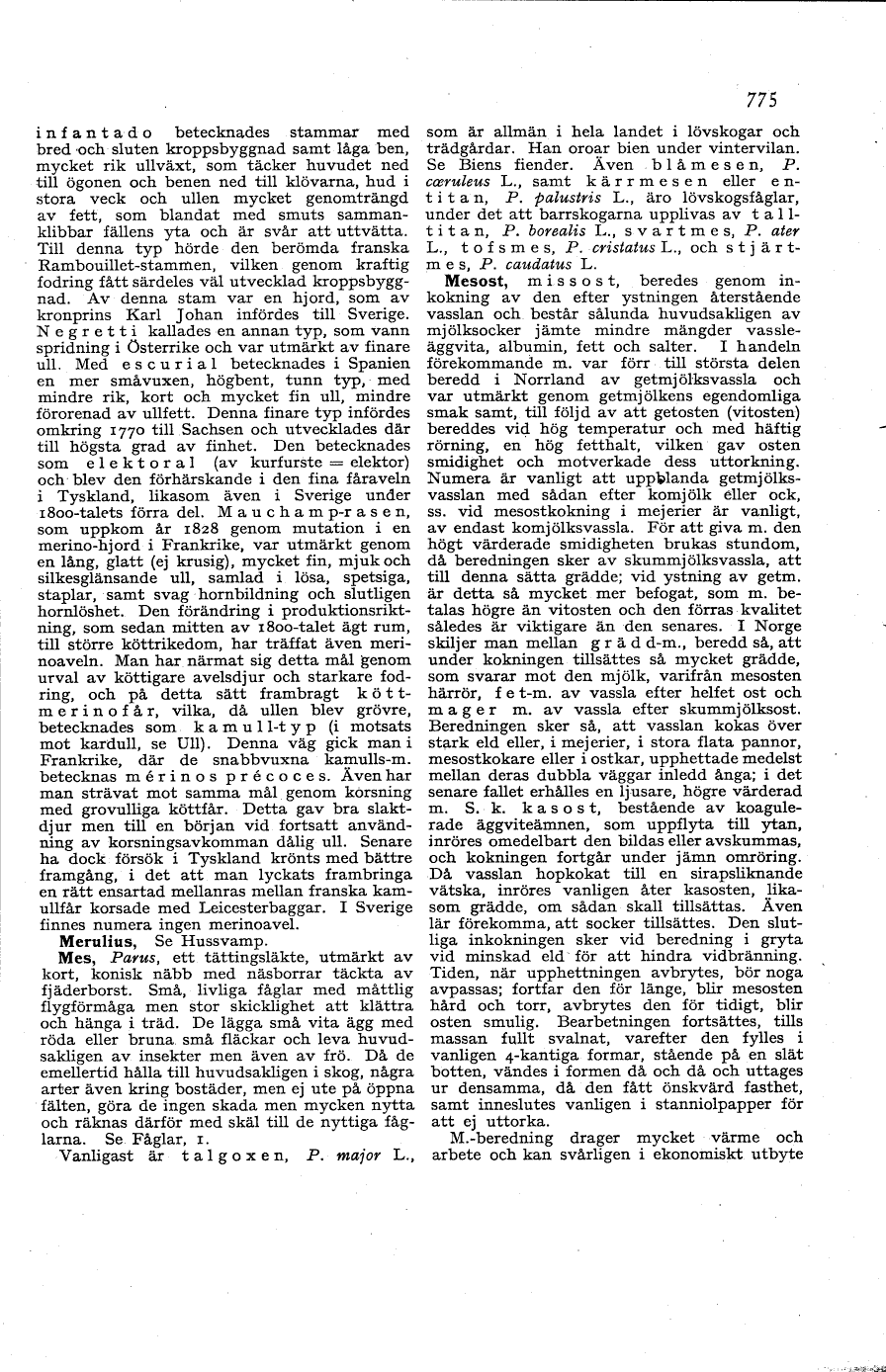 scanned image