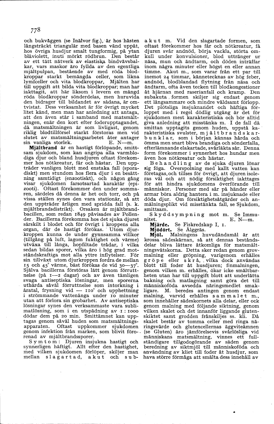 scanned image