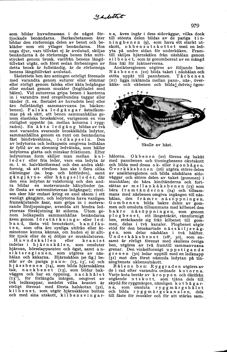 scanned image
