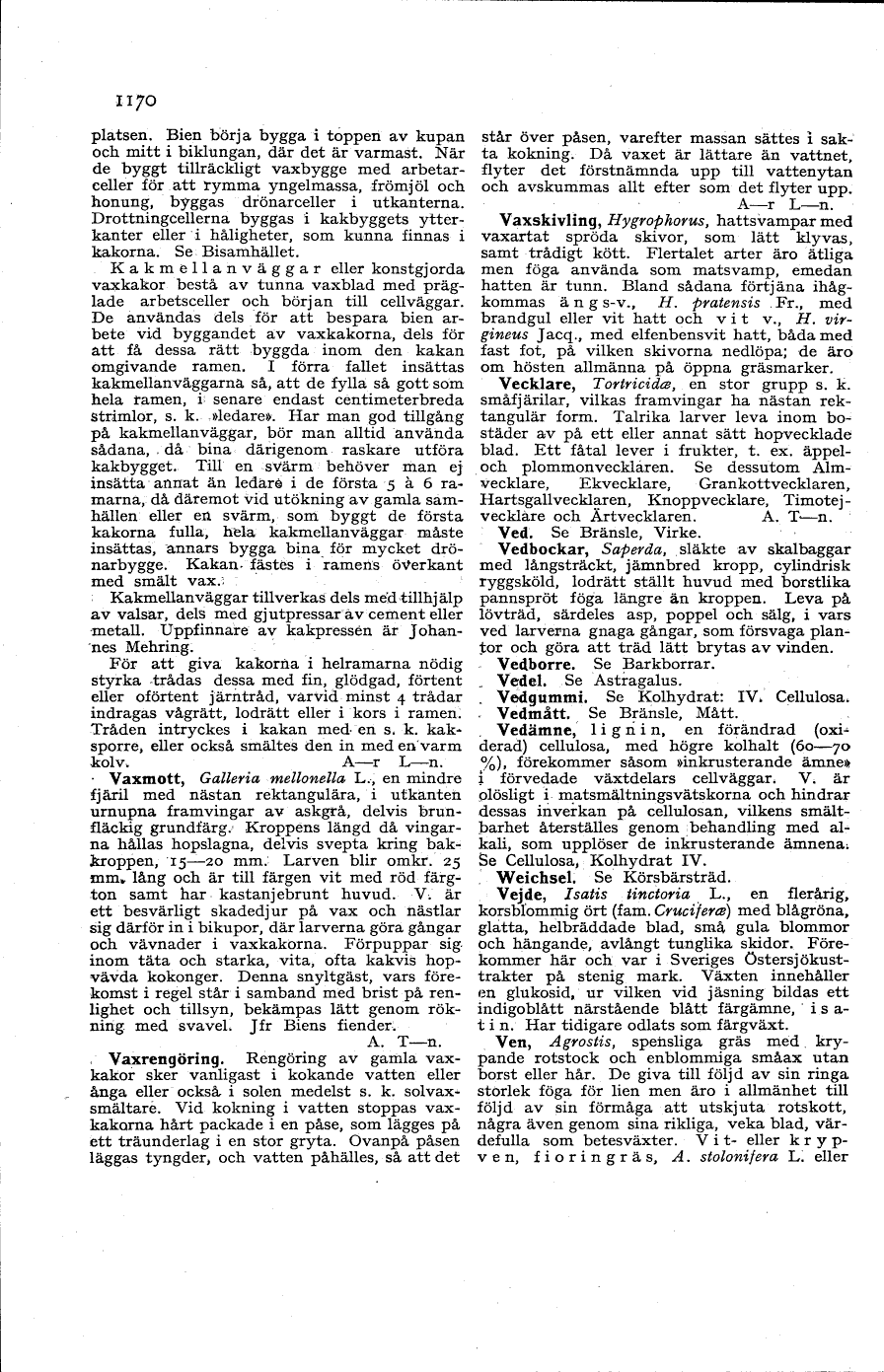 scanned image