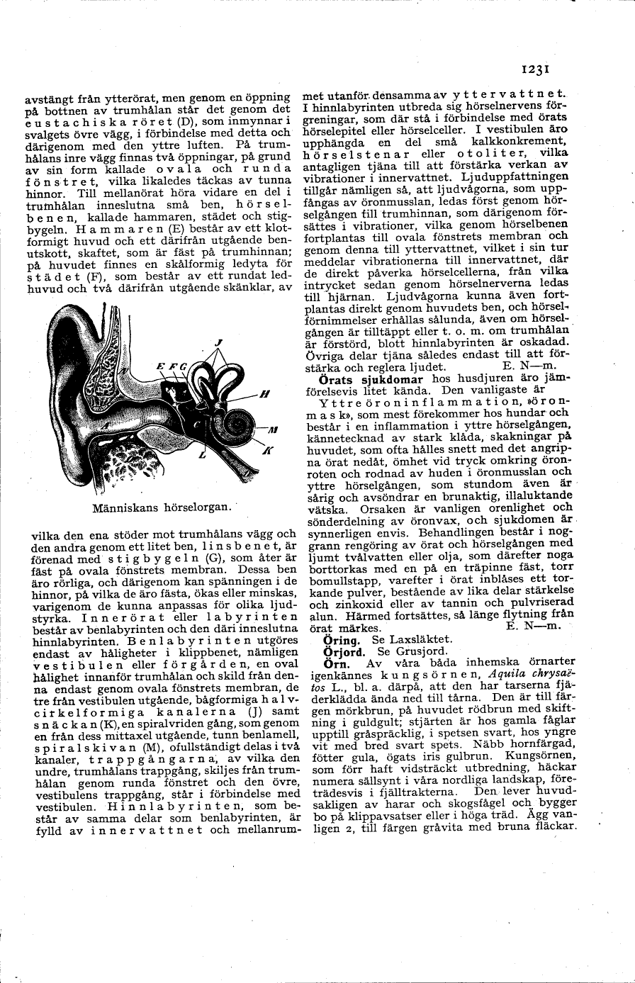 scanned image
