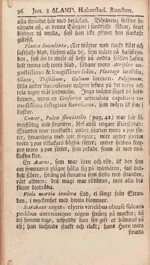 scanned image
