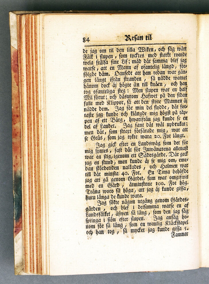 scanned image