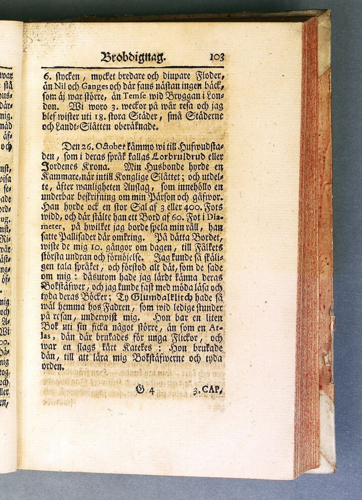 scanned image