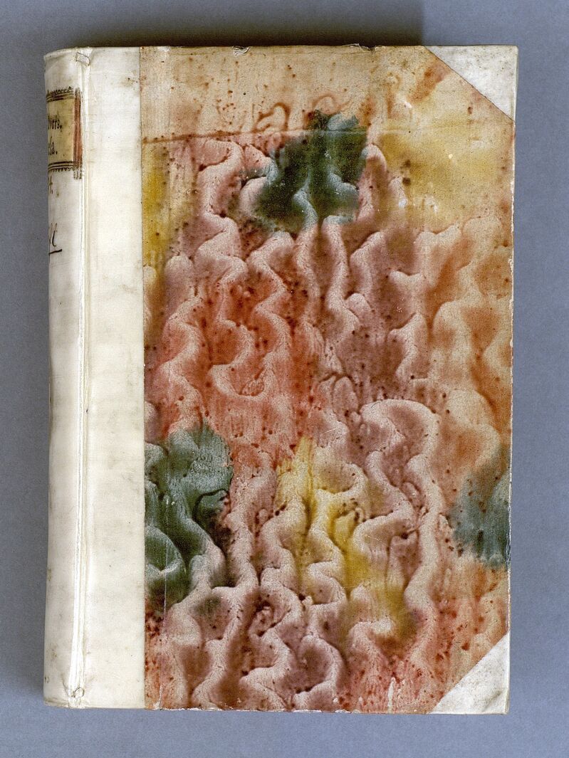 scanned image