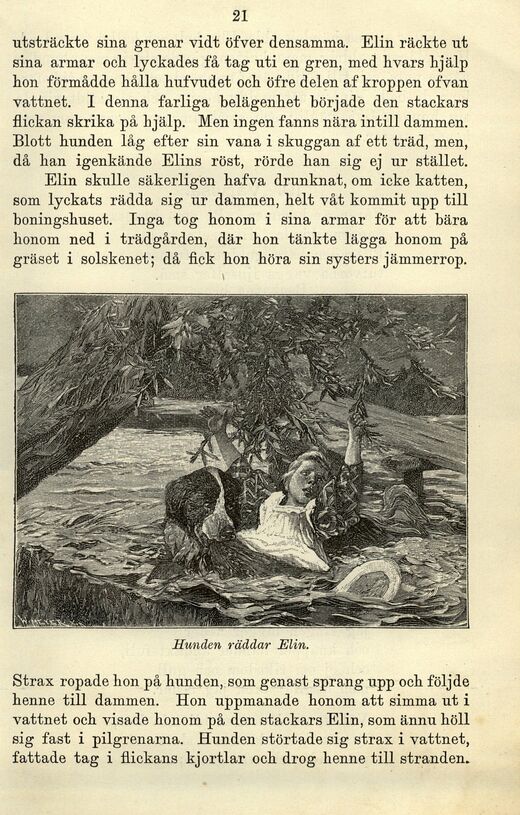 scanned image