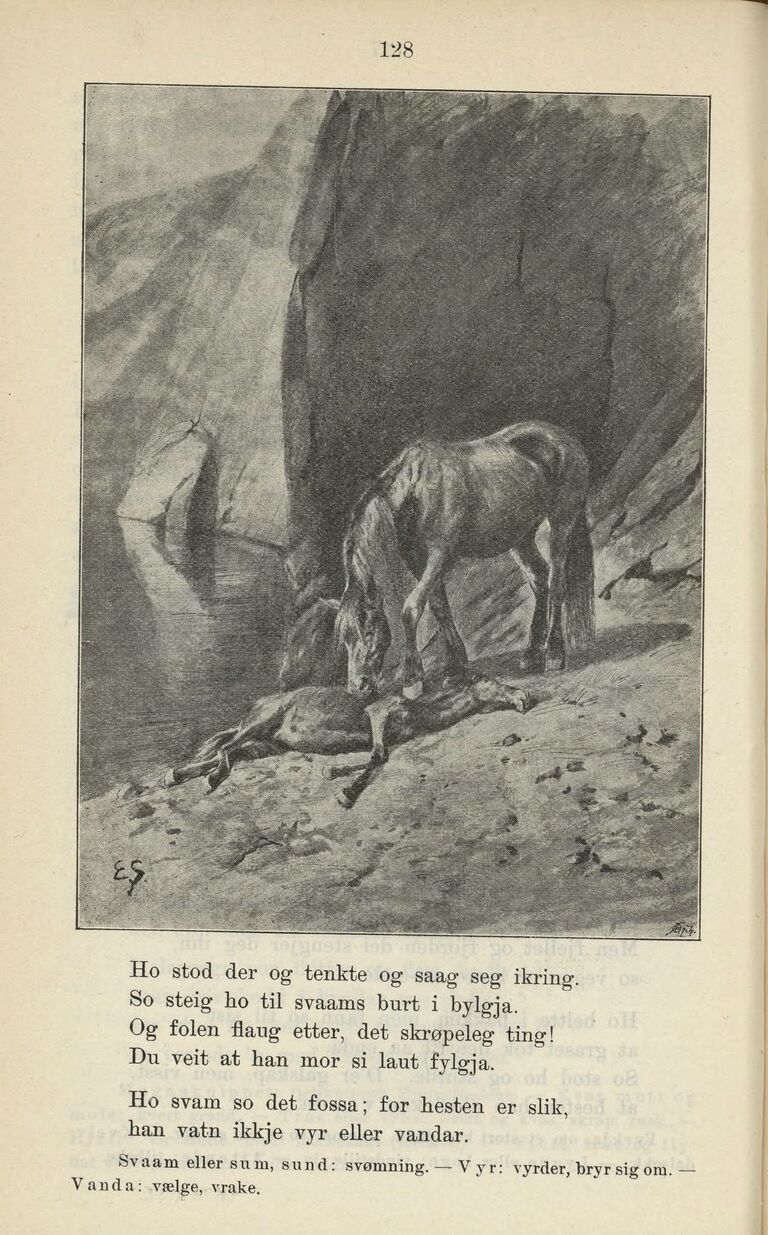 scanned image