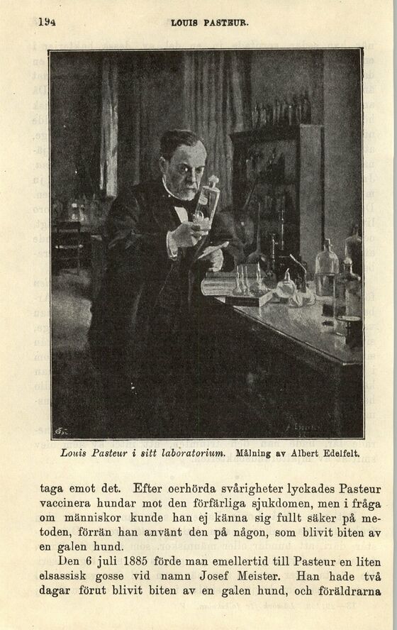 scanned image