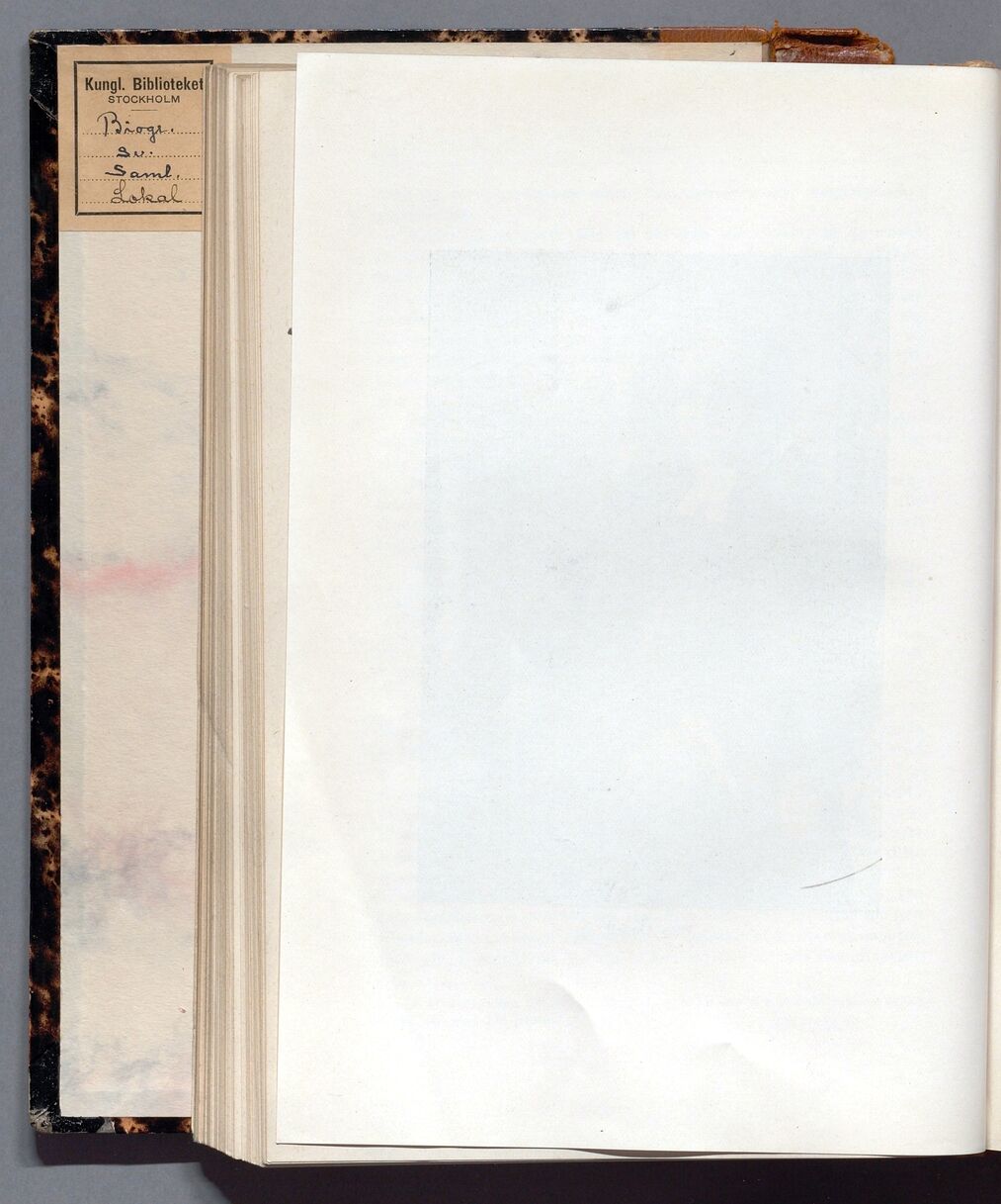 scanned image
