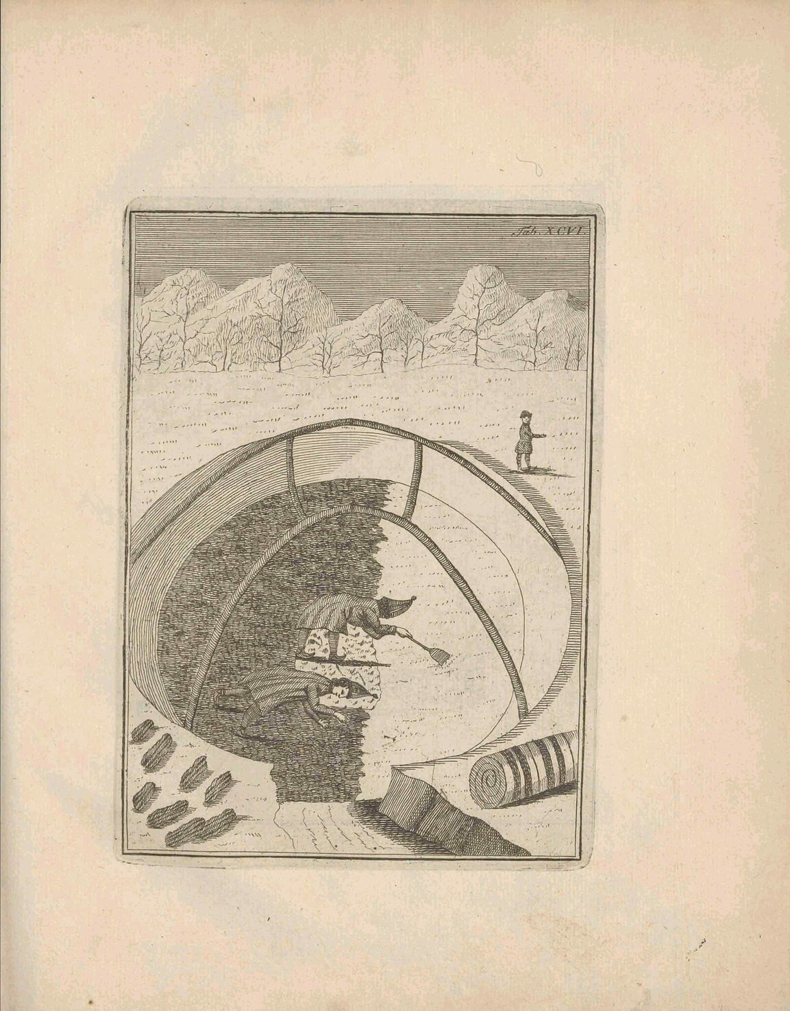 scanned image