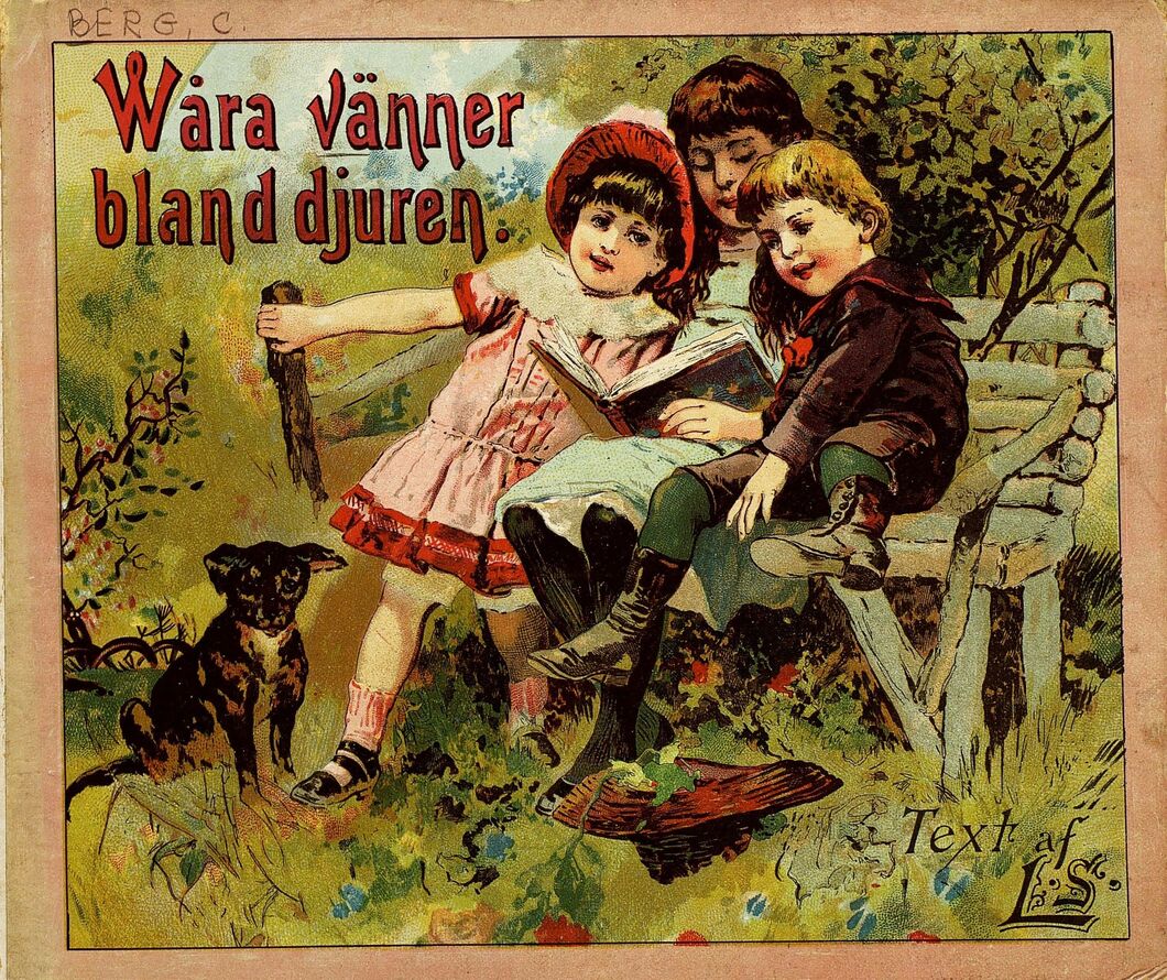 scanned image