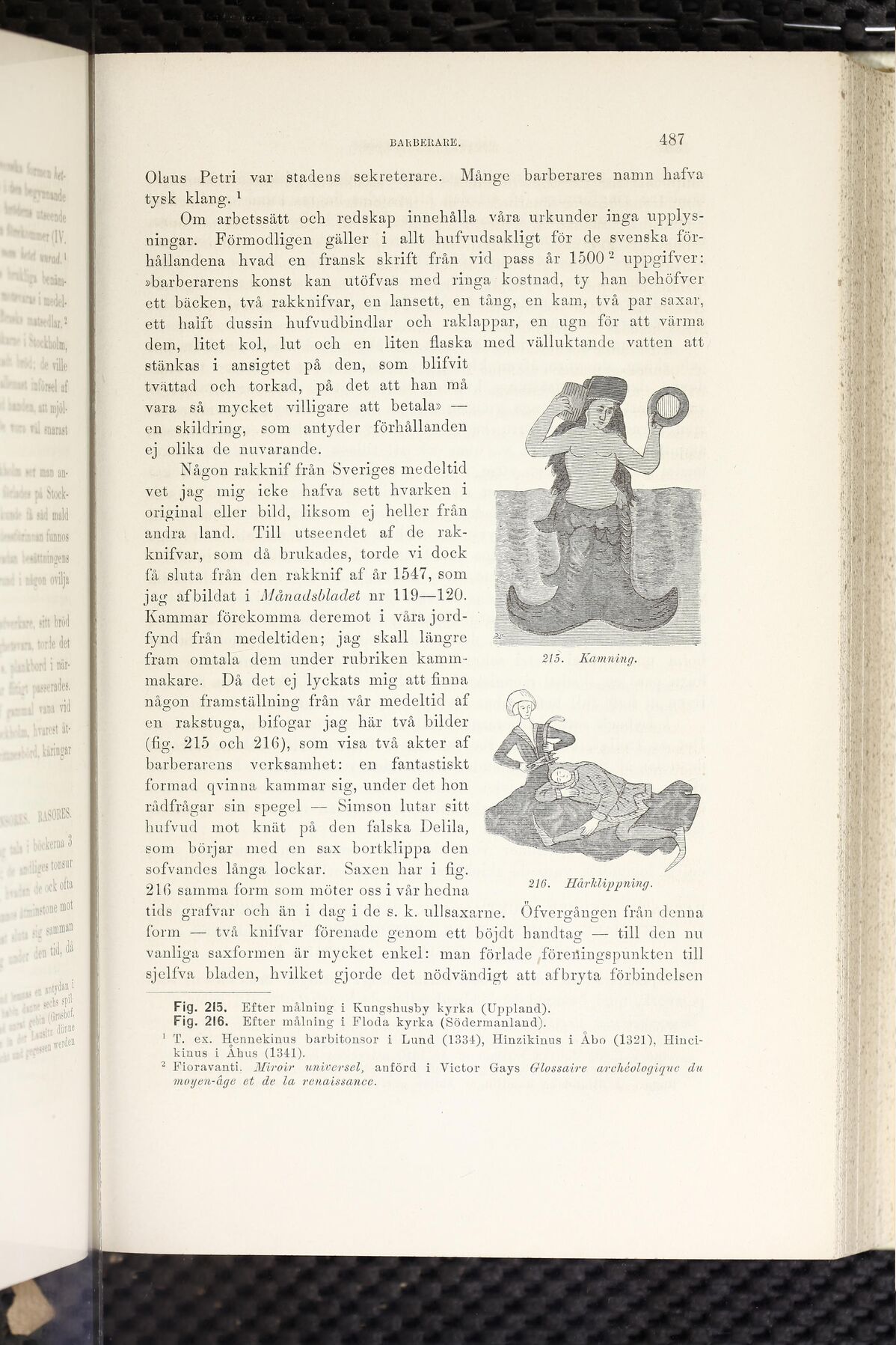 scanned image