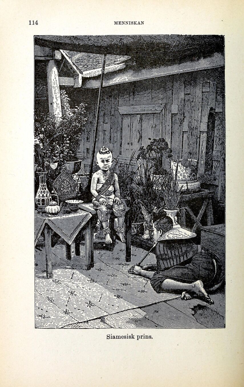 scanned image