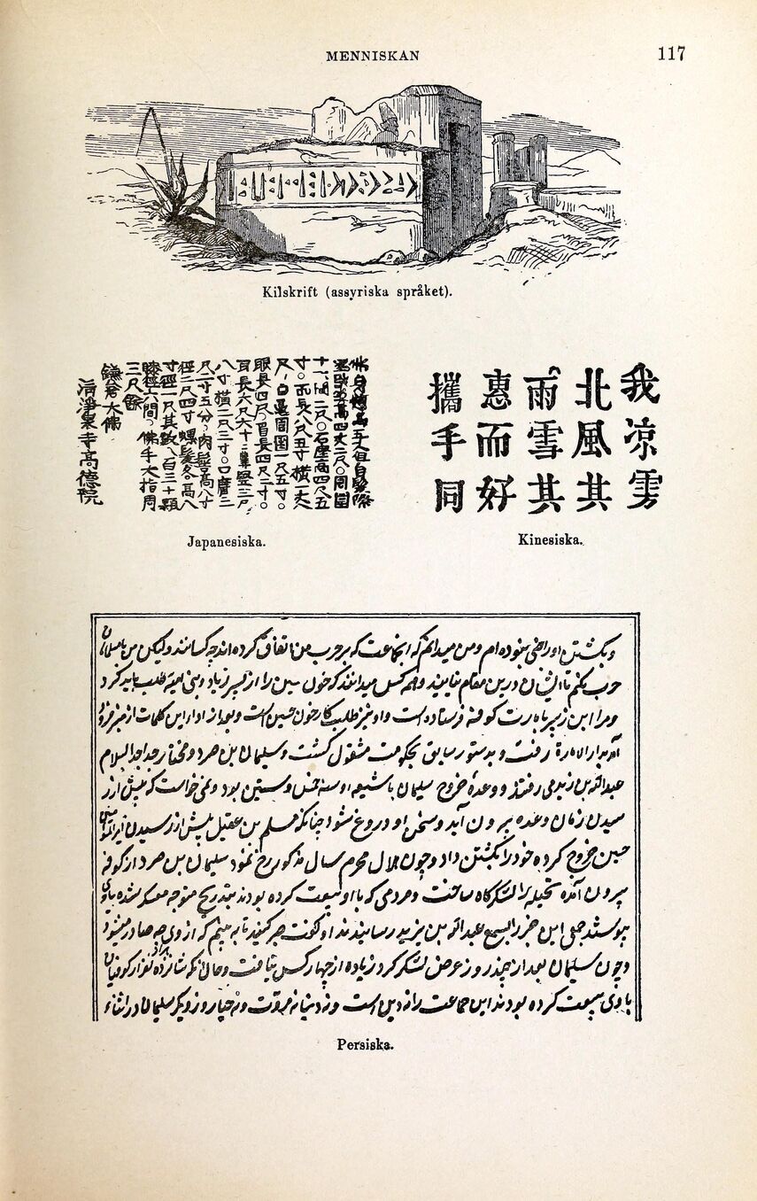 scanned image