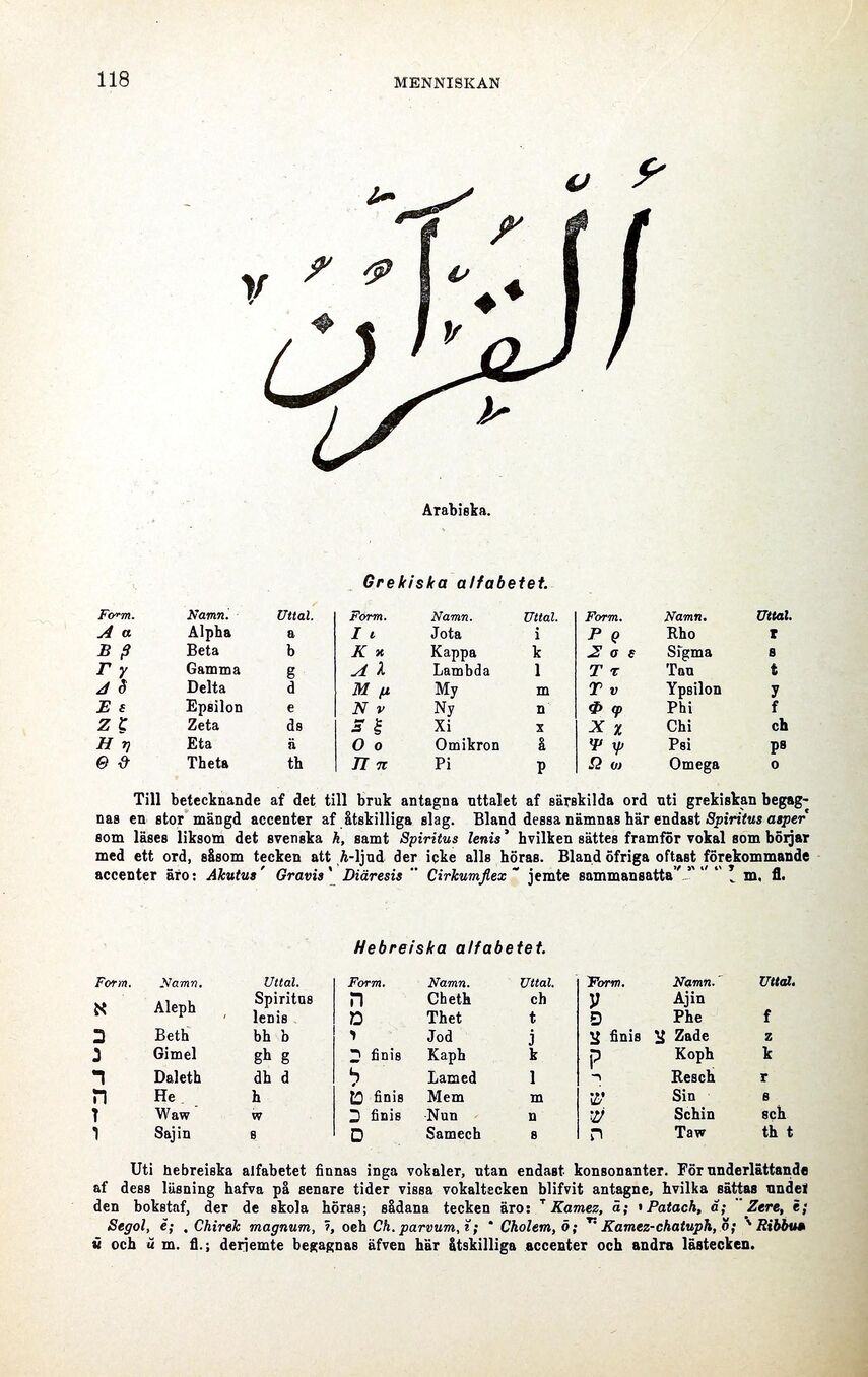 scanned image