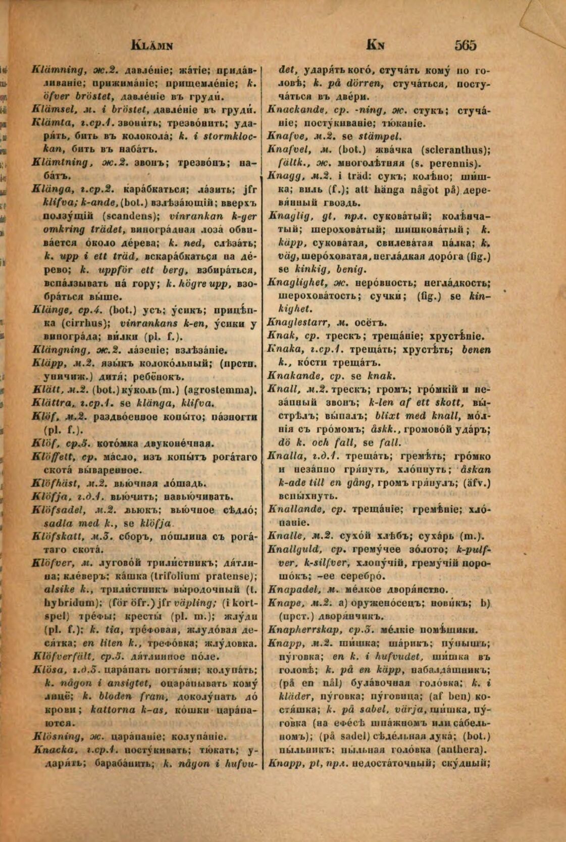 scanned image