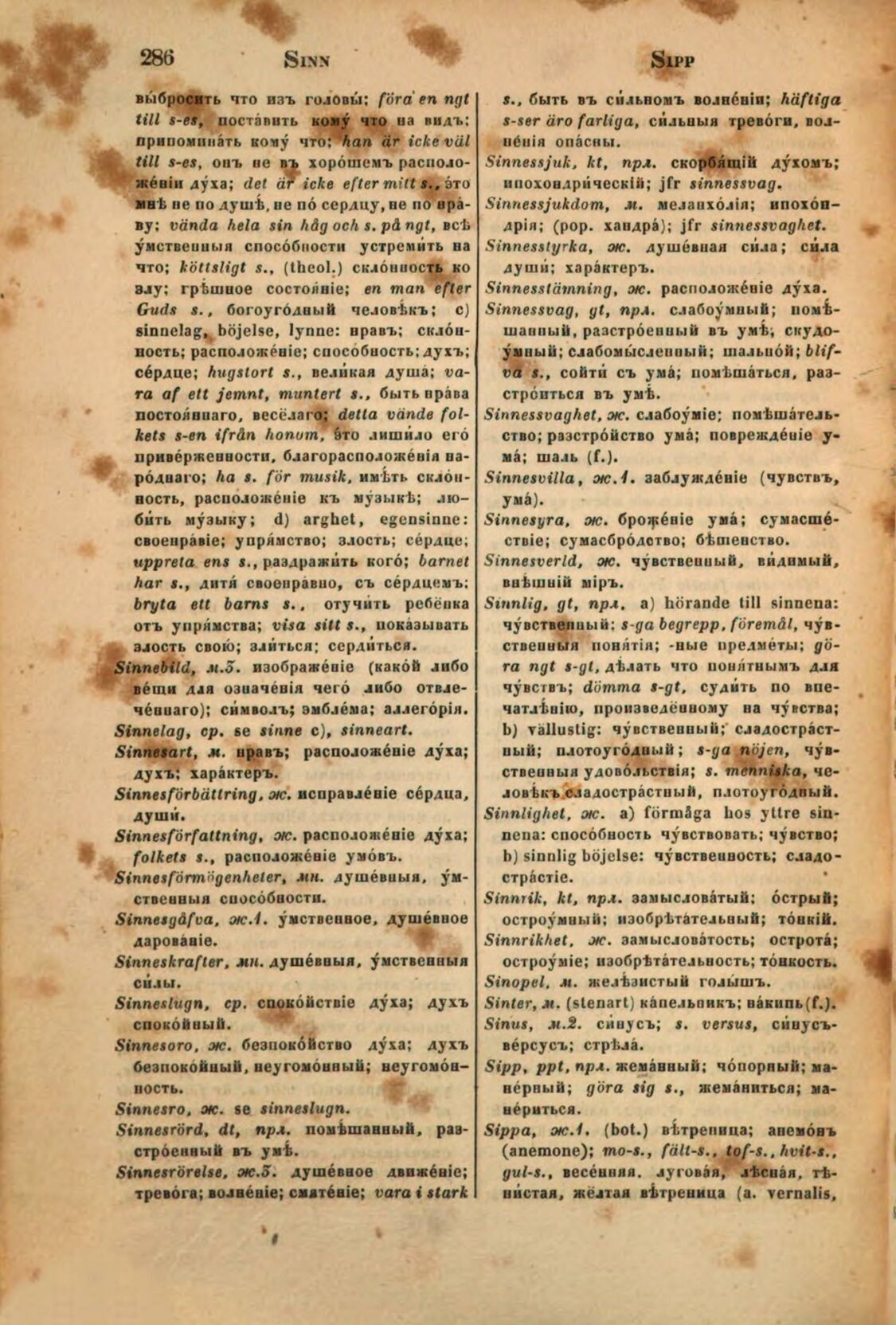 scanned image