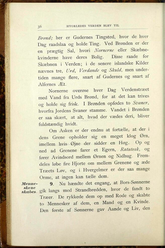scanned image