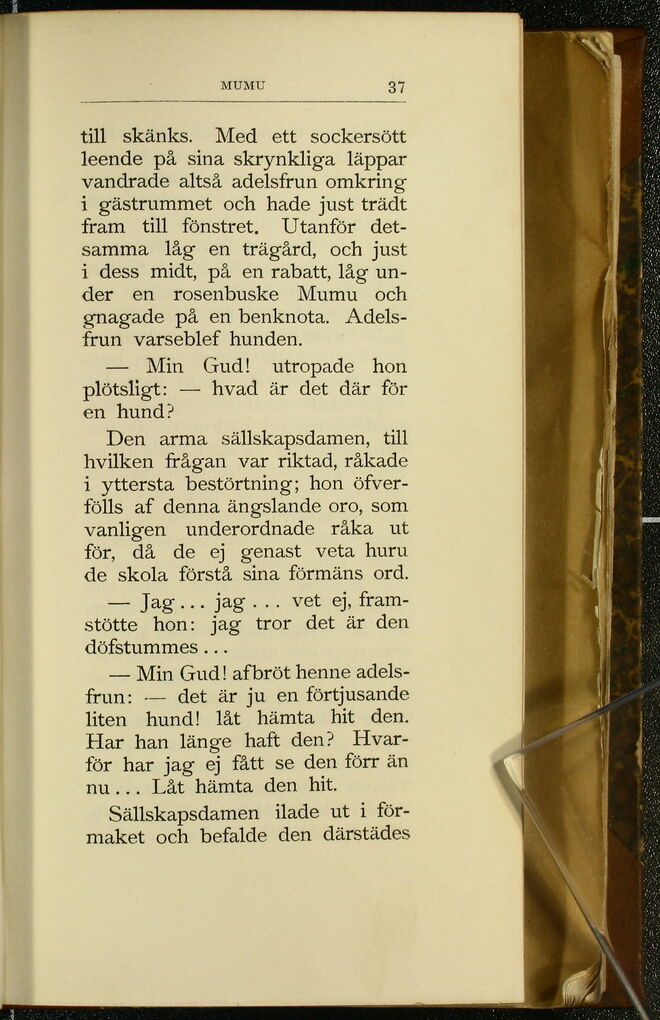 scanned image