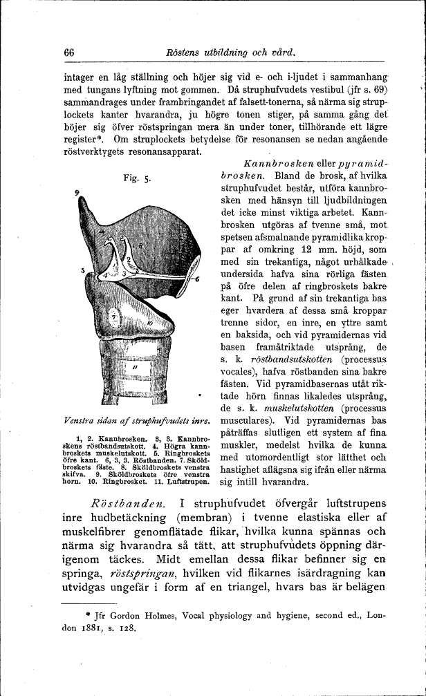 scanned image