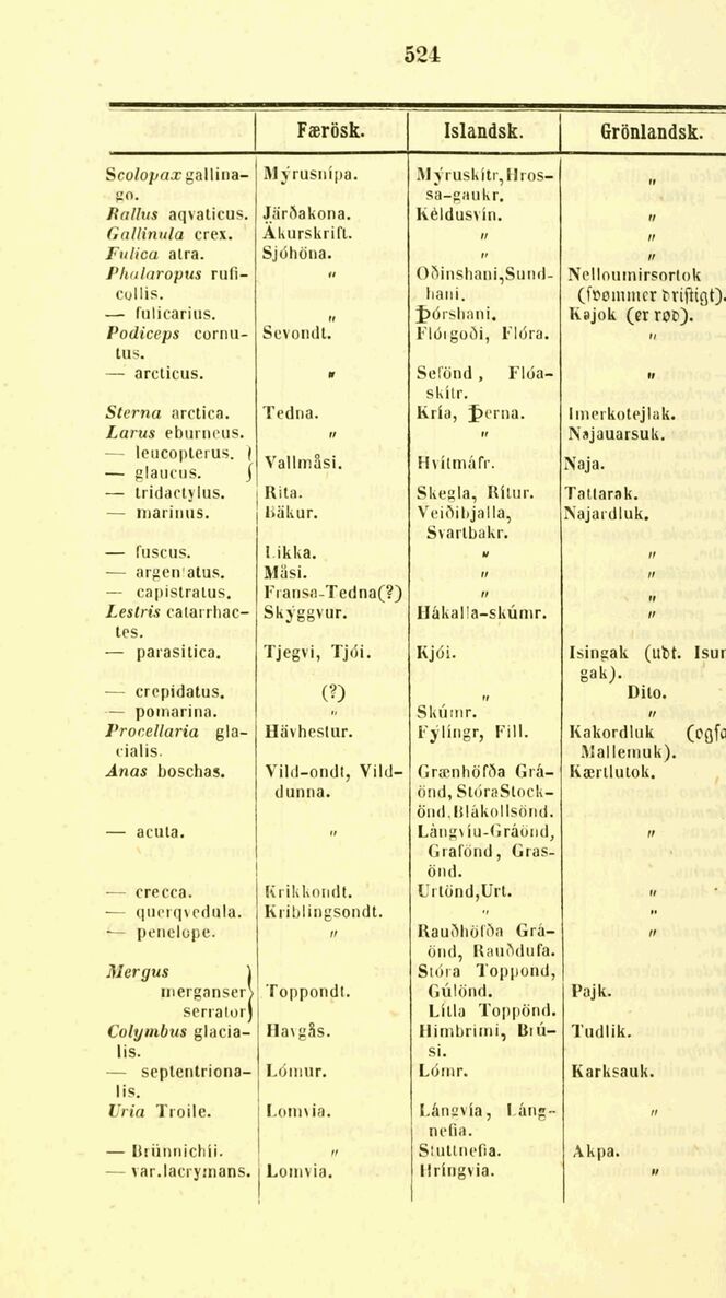 scanned image
