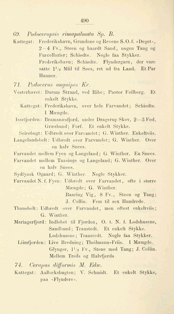 scanned image