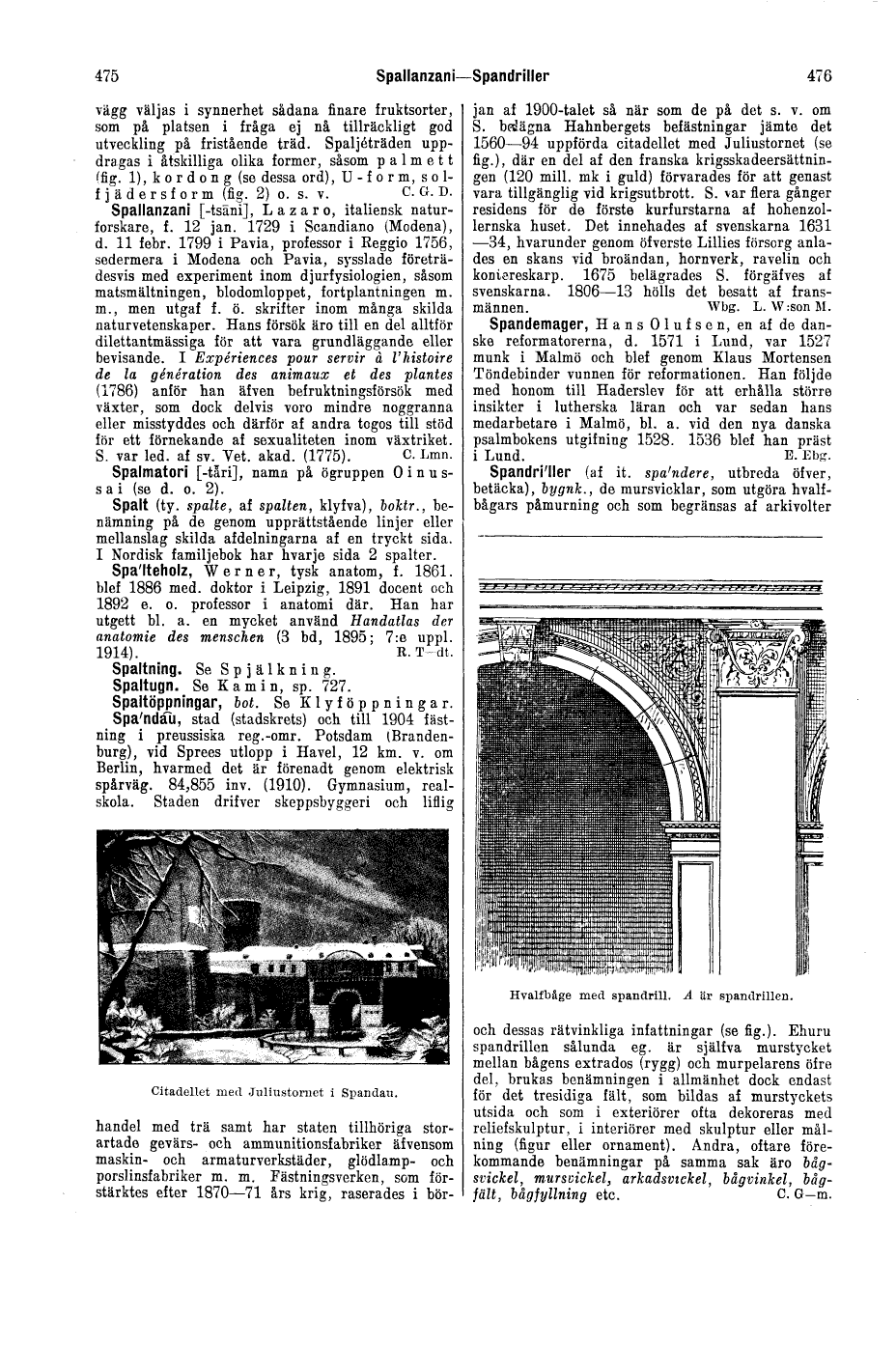 scanned image