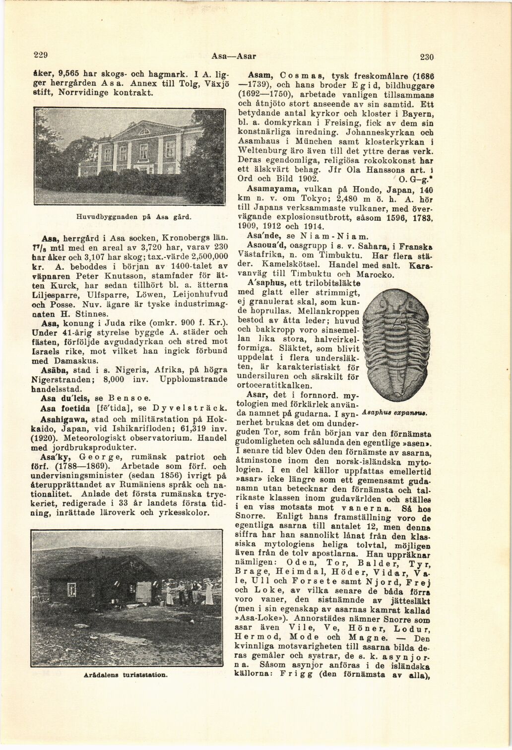 scanned image