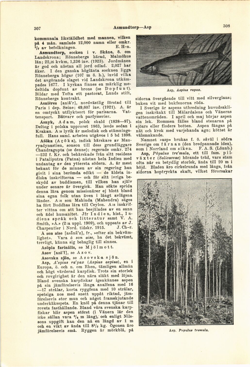 scanned image