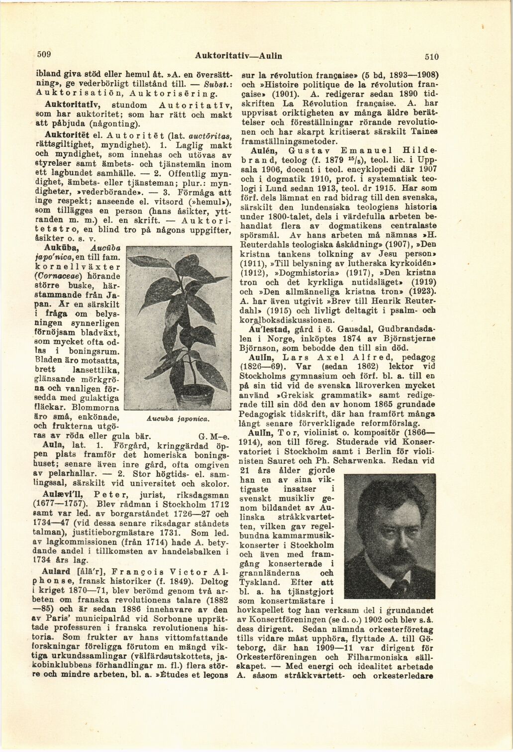 scanned image
