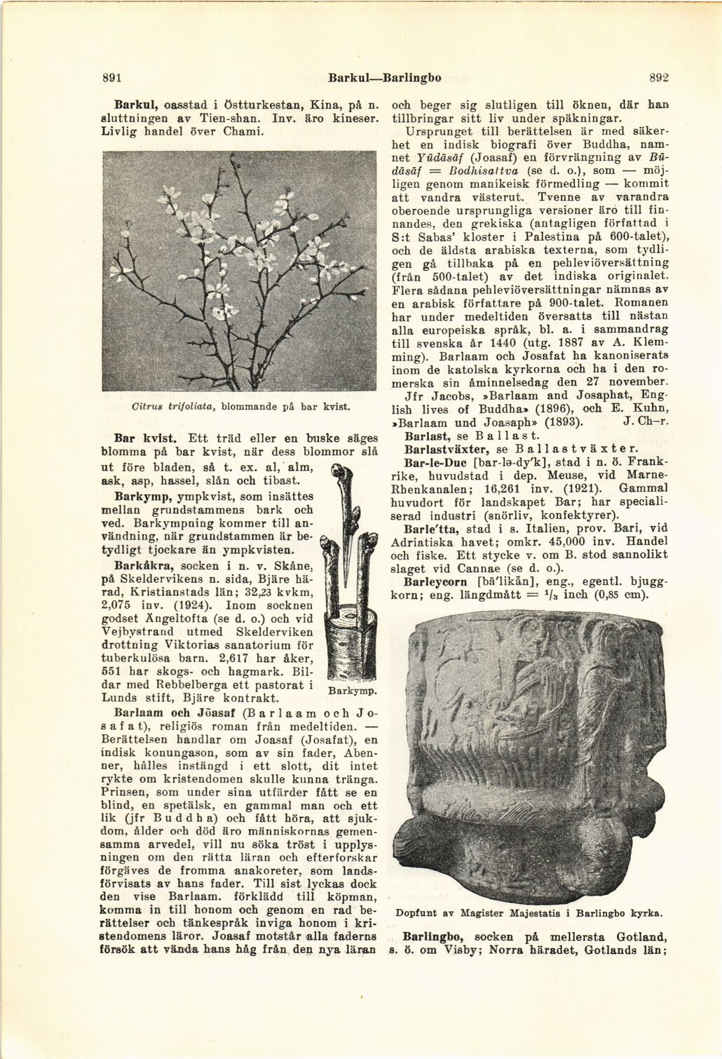 scanned image