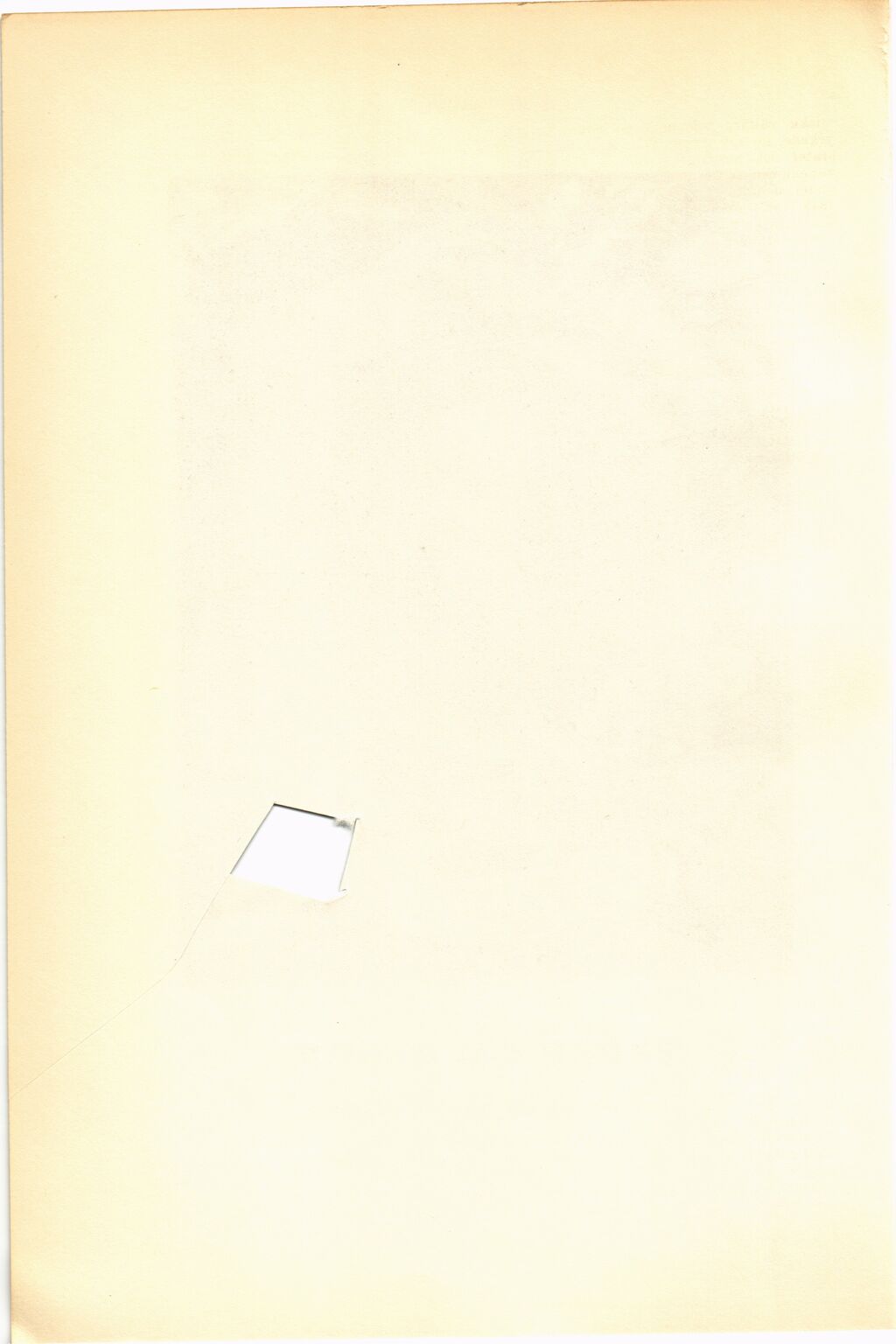 scanned image