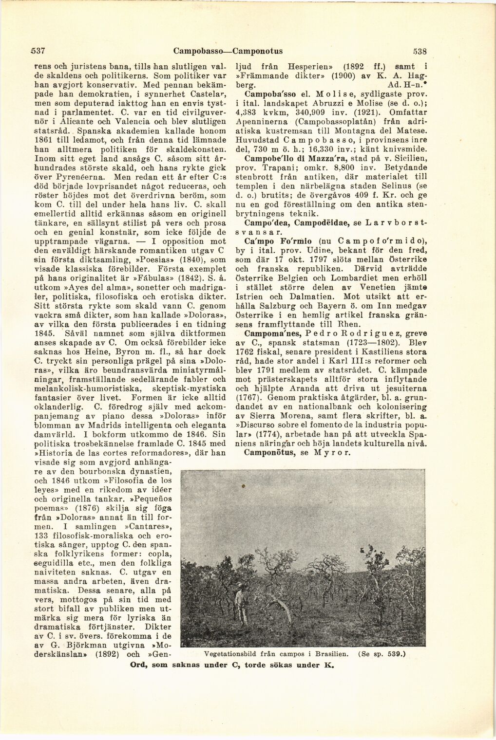 scanned image
