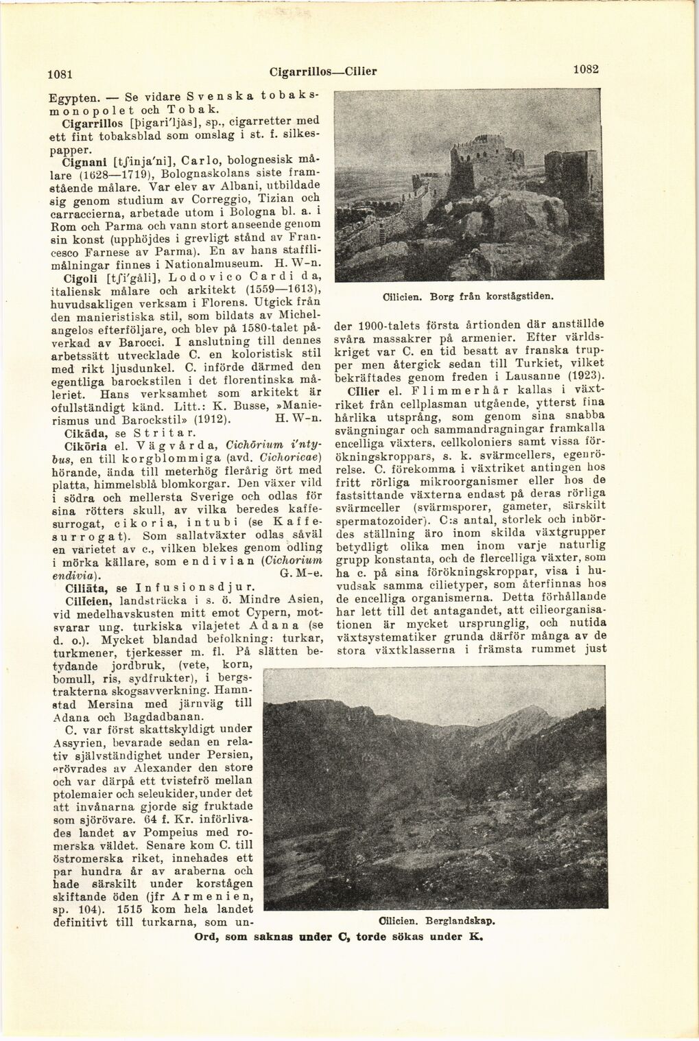 scanned image