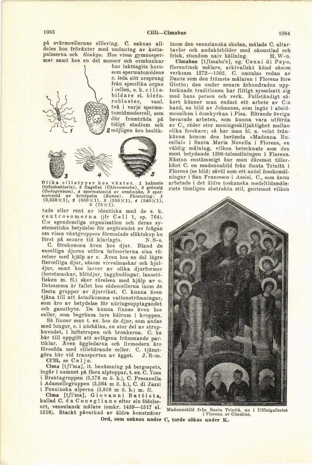 scanned image