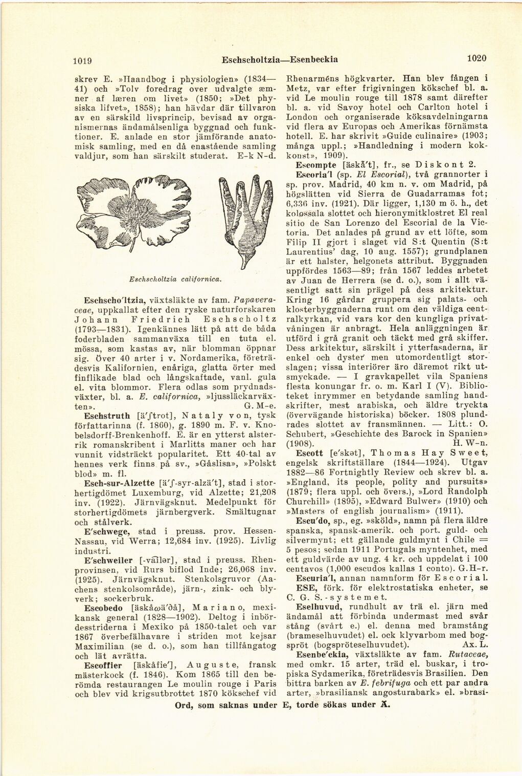 scanned image