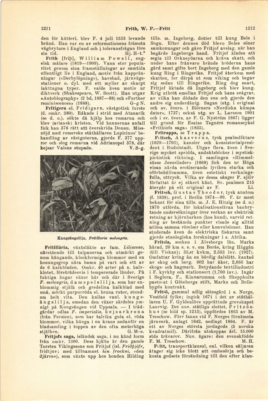 scanned image