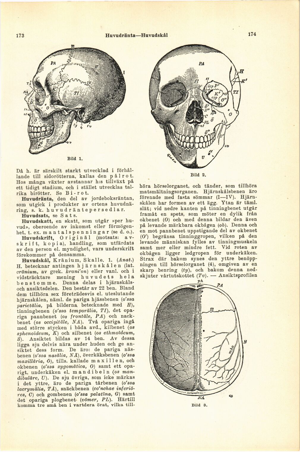 scanned image
