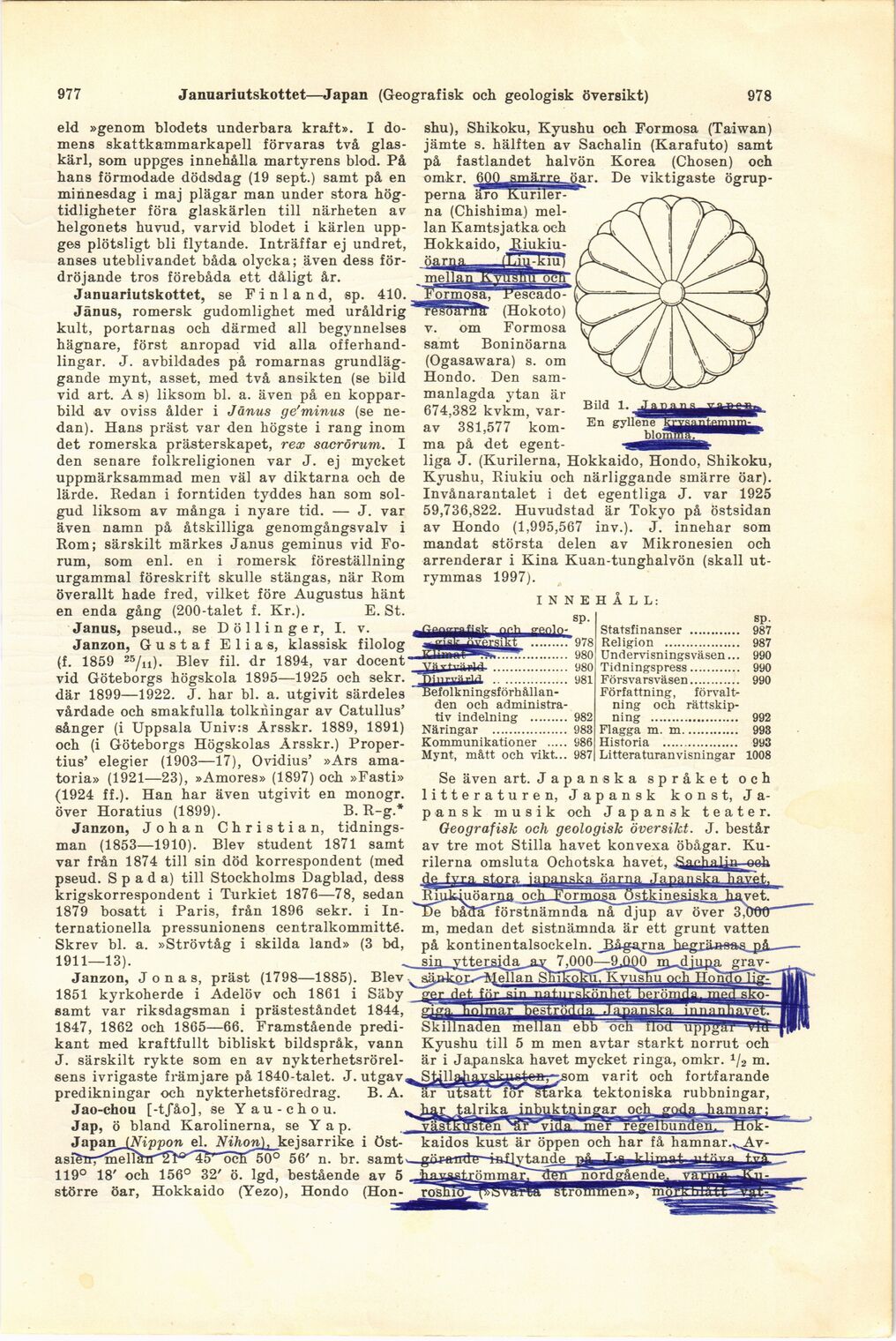 scanned image