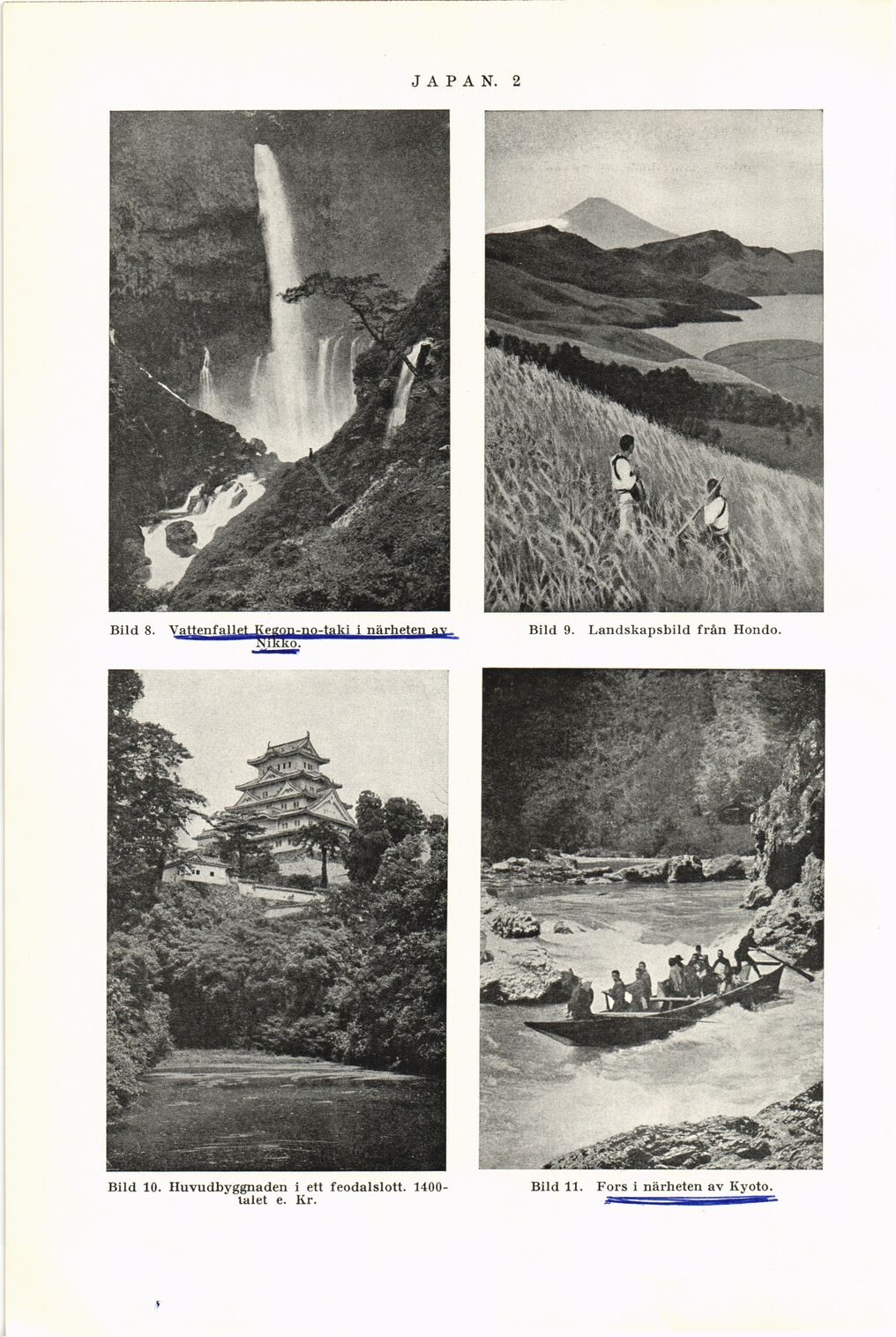 scanned image