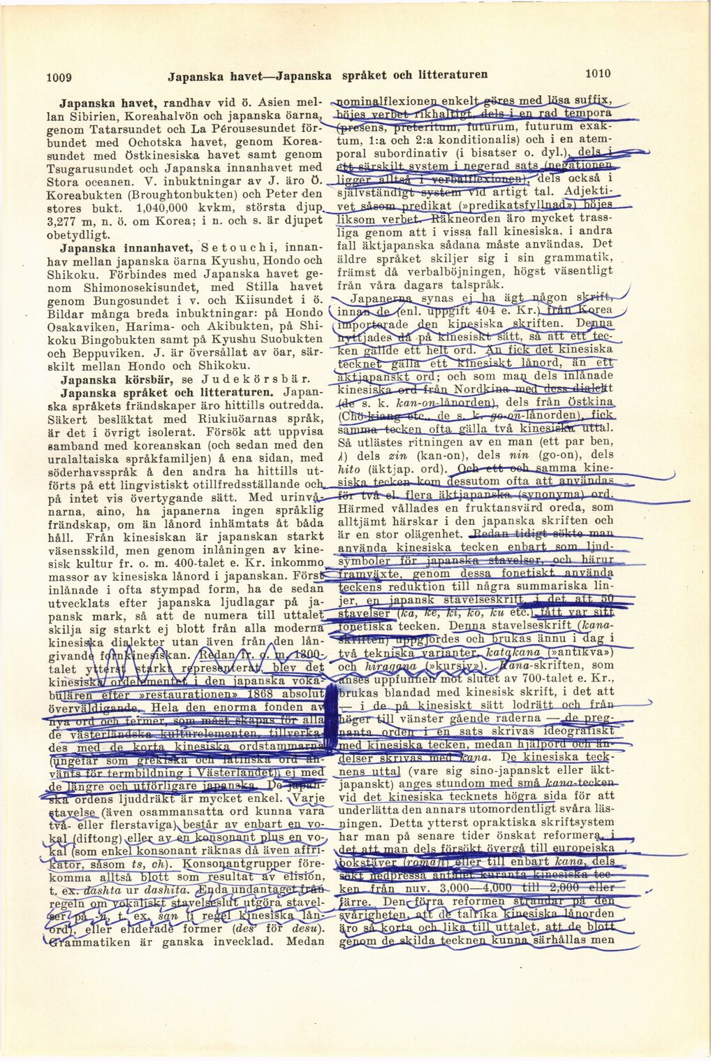 scanned image