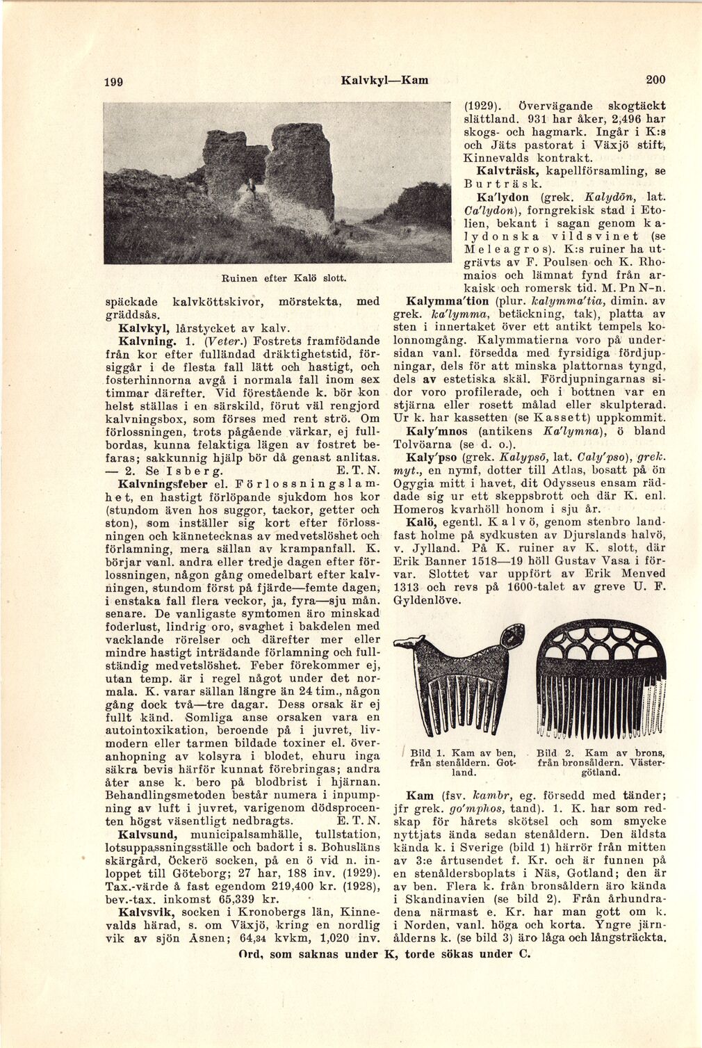 scanned image