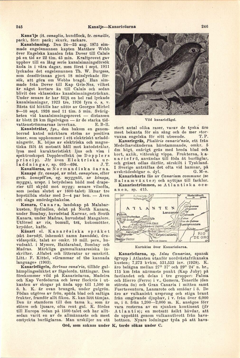 scanned image