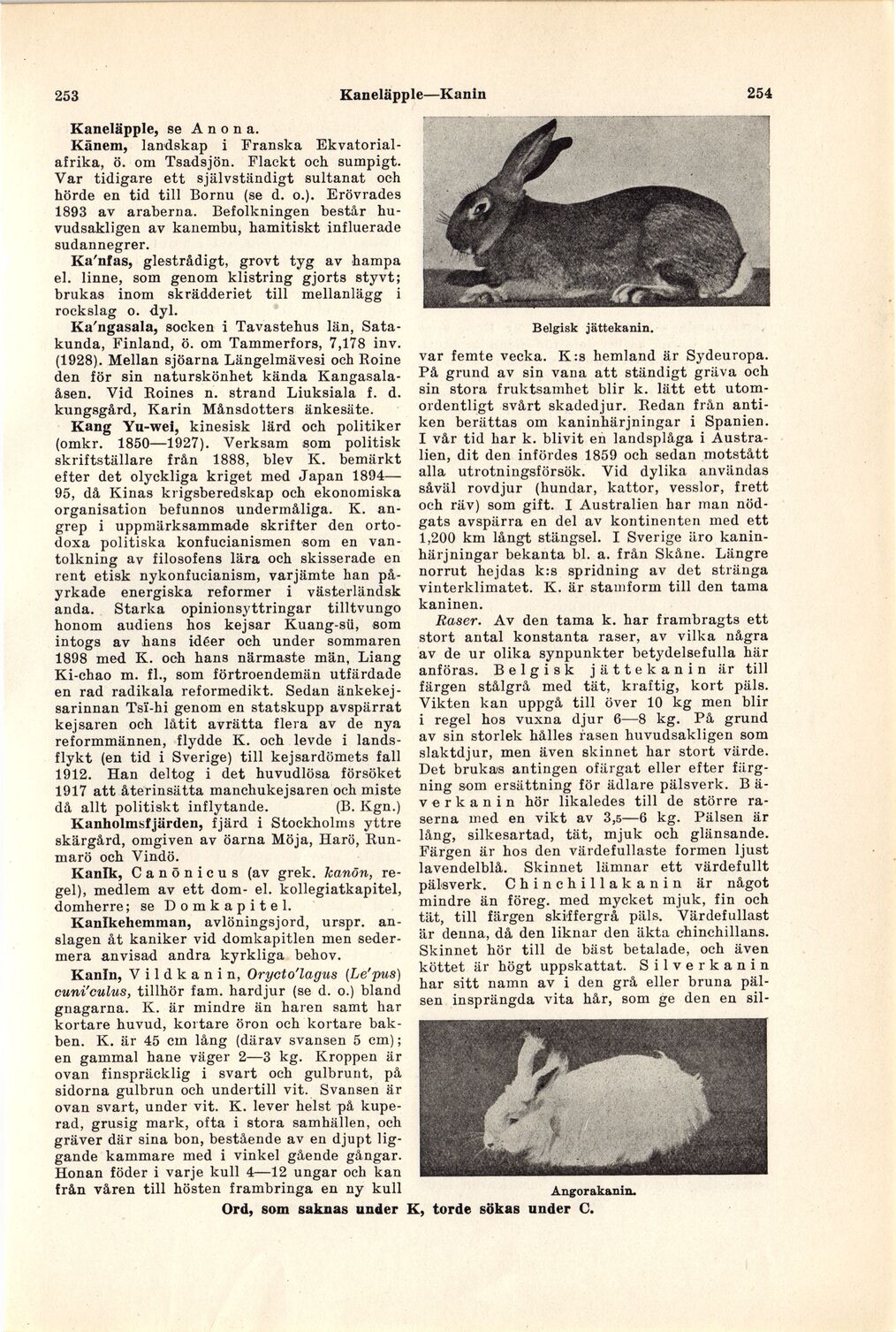 scanned image